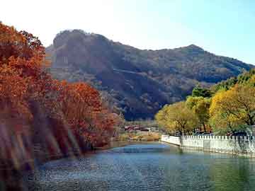 新澳天天开奖资料大全旅游团，鹿肉价格